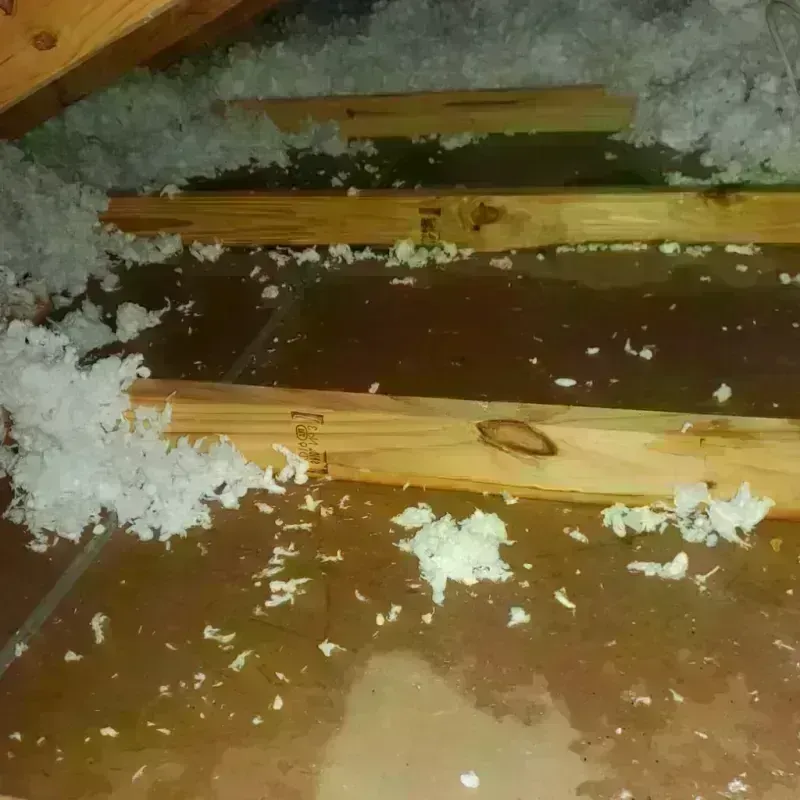 Attic Water Damage in Granville, OH