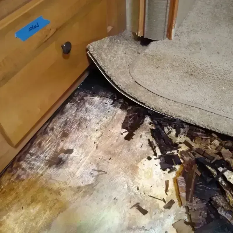 Best Wood Floor Water Damage Service in Granville, OH